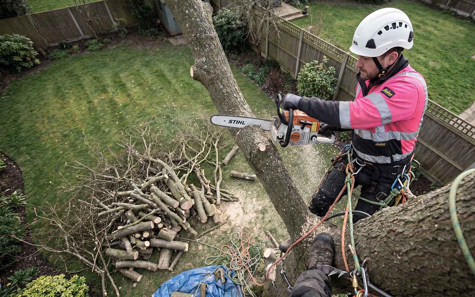 Prestige Tree Surgery Work