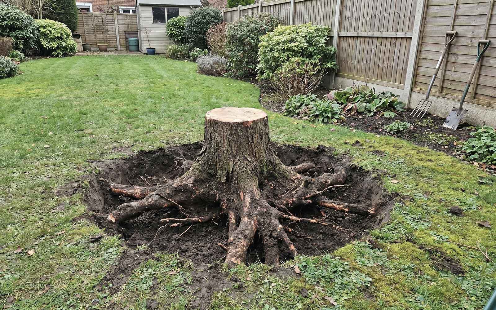 Prestige Tree Surgery Work