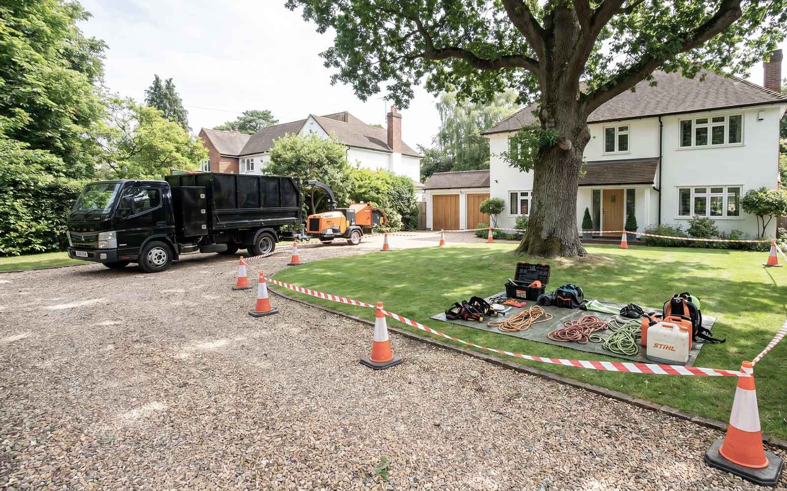 Prestige Tree Surgery Work